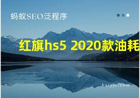 红旗hs5 2020款油耗