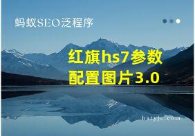 红旗hs7参数配置图片3.0