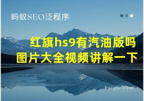 红旗hs9有汽油版吗图片大全视频讲解一下