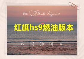 红旗hs9燃油版本