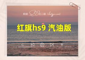 红旗hs9 汽油版