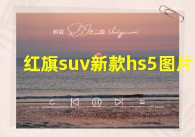 红旗suv新款hs5图片