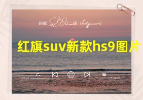 红旗suv新款hs9图片