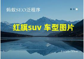 红旗suv 车型图片