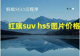 红旗suv hs5图片价格