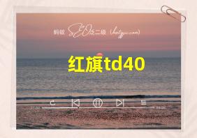 红旗td40