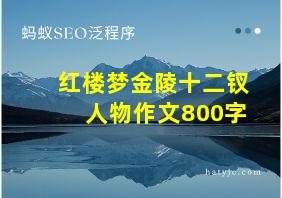 红楼梦金陵十二钗人物作文800字