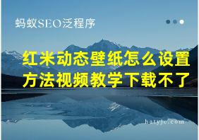 红米动态壁纸怎么设置方法视频教学下载不了