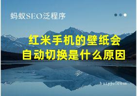 红米手机的壁纸会自动切换是什么原因