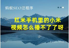 红米手机里的小米视频怎么播不了了呀