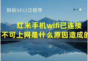 红米手机wifi已连接不可上网是什么原因造成的