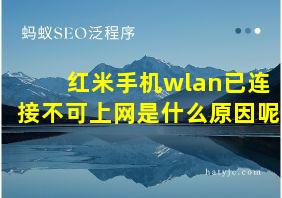 红米手机wlan已连接不可上网是什么原因呢