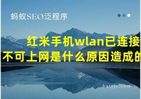 红米手机wlan已连接不可上网是什么原因造成的