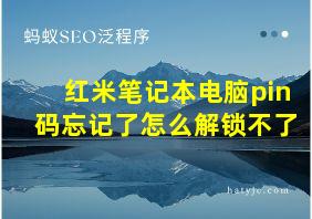 红米笔记本电脑pin码忘记了怎么解锁不了