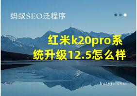 红米k20pro系统升级12.5怎么样