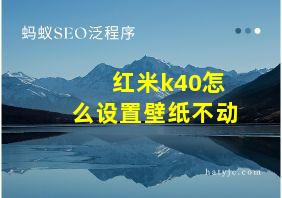 红米k40怎么设置壁纸不动