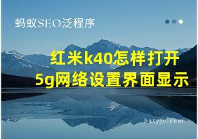 红米k40怎样打开5g网络设置界面显示