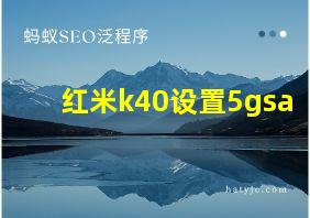 红米k40设置5gsa