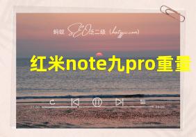 红米note九pro重量