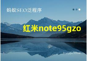 红米note95gzo