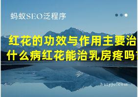 红花的功效与作用主要治什么病红花能治乳房疼吗?