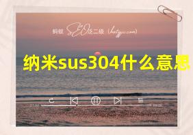 纳米sus304什么意思