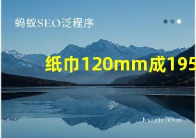 纸巾120mm成195