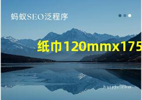 纸巾120mmx175