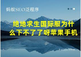 绝地求生国际服为什么下不了了呀苹果手机