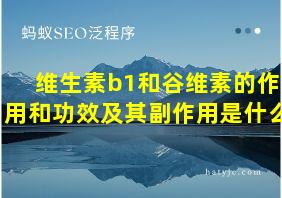 维生素b1和谷维素的作用和功效及其副作用是什么