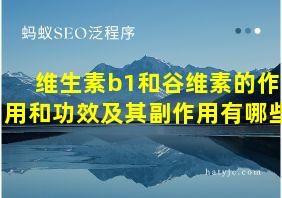 维生素b1和谷维素的作用和功效及其副作用有哪些