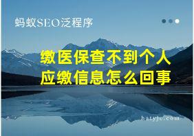 缴医保查不到个人应缴信息怎么回事