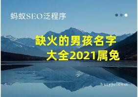 缺火的男孩名字大全2021属兔