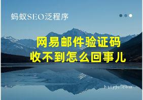 网易邮件验证码收不到怎么回事儿