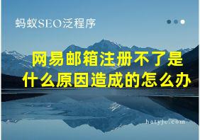 网易邮箱注册不了是什么原因造成的怎么办