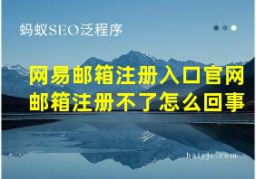 网易邮箱注册入口官网邮箱注册不了怎么回事