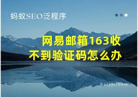 网易邮箱163收不到验证码怎么办