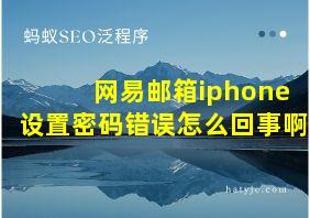 网易邮箱iphone设置密码错误怎么回事啊