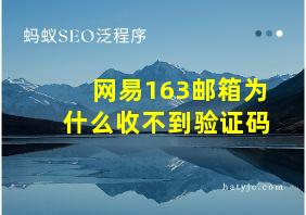 网易163邮箱为什么收不到验证码