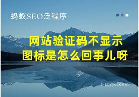 网站验证码不显示图标是怎么回事儿呀