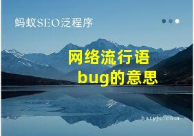 网络流行语bug的意思