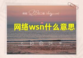 网络wsn什么意思