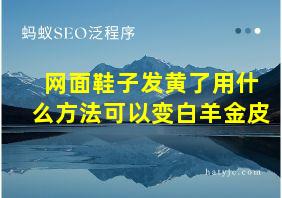 网面鞋子发黄了用什么方法可以变白羊金皮