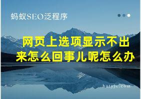 网页上选项显示不出来怎么回事儿呢怎么办