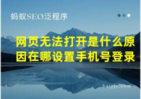 网页无法打开是什么原因在哪设置手机号登录