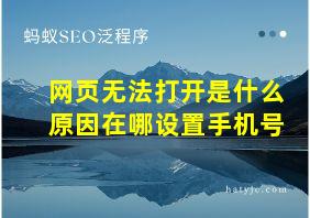 网页无法打开是什么原因在哪设置手机号