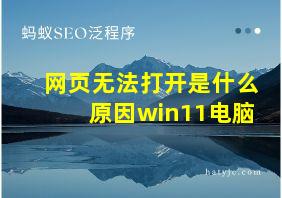 网页无法打开是什么原因win11电脑