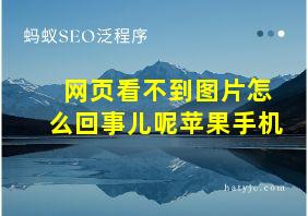 网页看不到图片怎么回事儿呢苹果手机