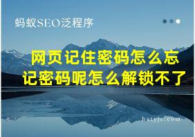 网页记住密码怎么忘记密码呢怎么解锁不了