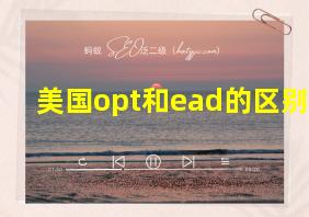 美国opt和ead的区别